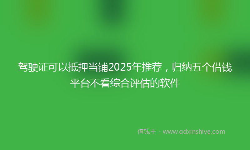驾驶证可以抵押当铺2025年推荐，归纳五个借钱平台不看综合评估的软件