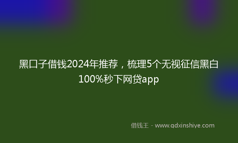 黑口子借钱2024年推荐，梳理5个无视征信黑白100%秒下网贷app