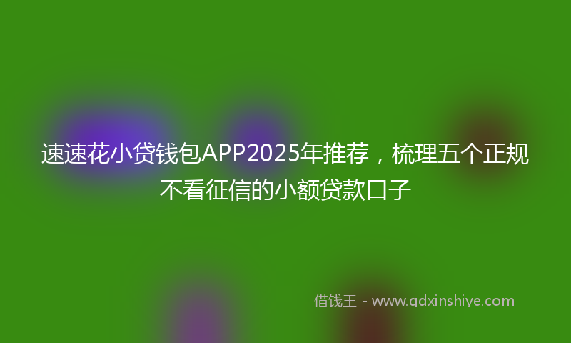 速速花小贷钱包APP2025年推荐，梳理五个正规不看征信的小额贷款口子