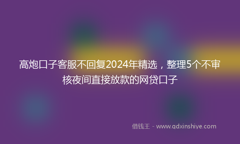 高炮口子客服不回复2024年精选，整理5个不审核夜间直接放款的网贷口子