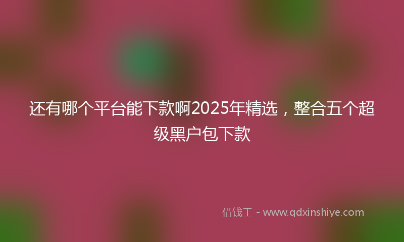 还有哪个平台能下款啊2025年精选，整合五个超级黑户包下款