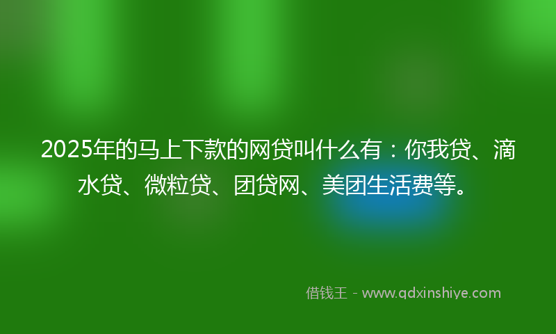 2025年的马上下款的网贷叫什么有：你我贷、滴水贷、微粒贷、团贷网、美团生活费等。