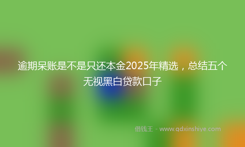 逾期呆账是不是只还本金2025年精选，总结五个无视黑白贷款口子