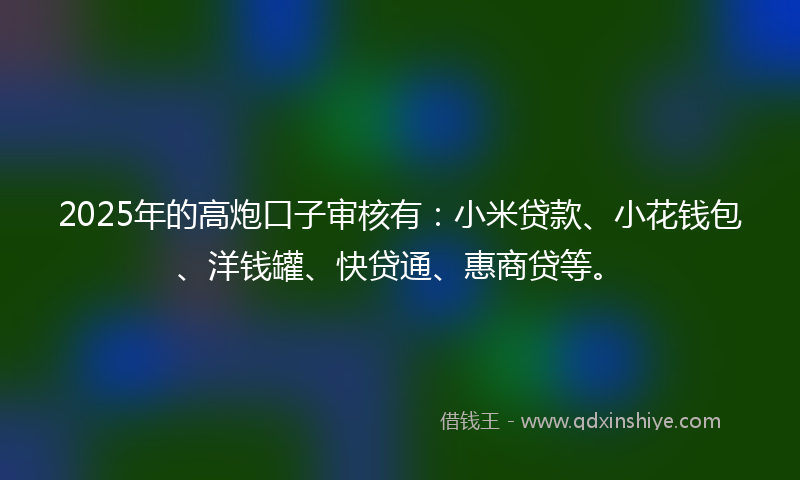 2025年的高炮口子审核有：小米贷款、小花钱包、洋钱罐、快贷通、惠商贷等。
