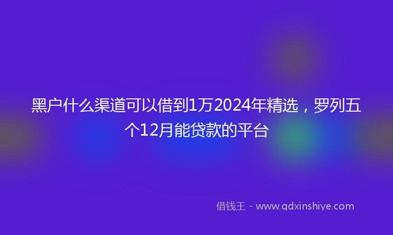 黑户什么渠道可以借到1万2024年精选，罗列五个12月能贷款的平台