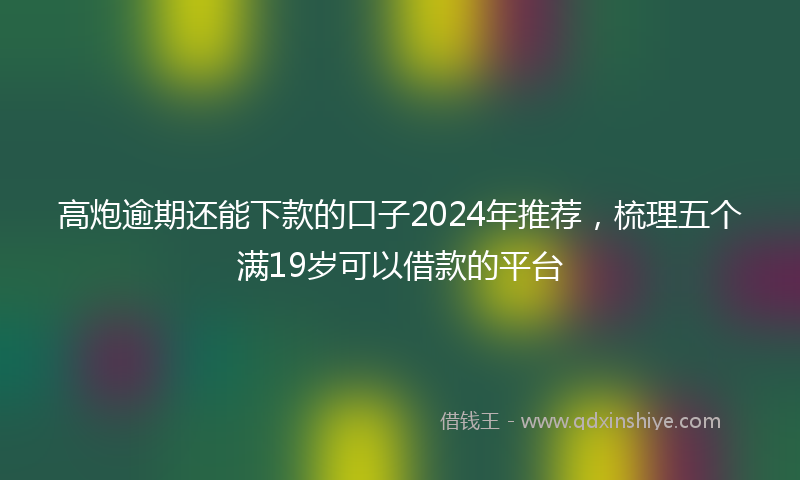 高炮逾期还能下款的口子2024年推荐，梳理五个满19岁可以借款的平台