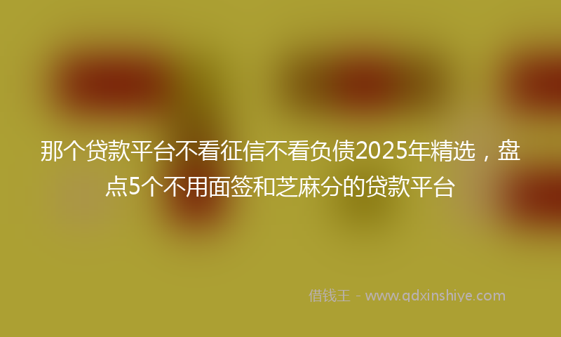那个贷款平台不看征信不看负债2025年精选，盘点5个不用面签和芝麻分的贷款平台