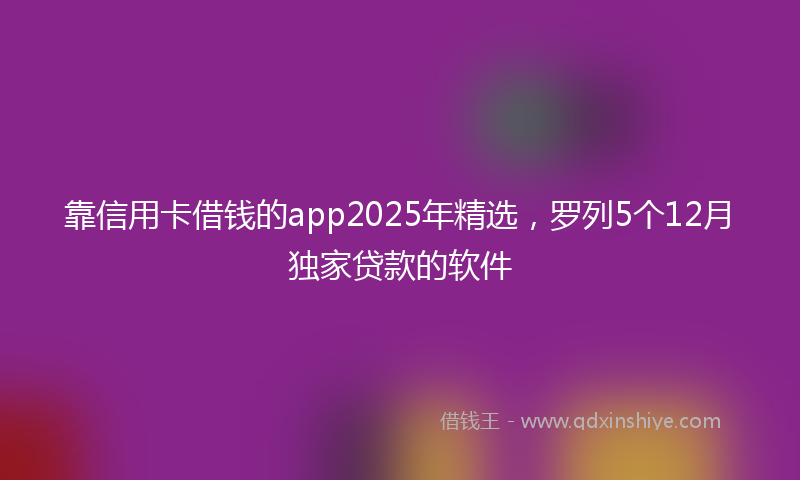 靠信用卡借钱的app2025年精选，罗列5个12月独家贷款的软件