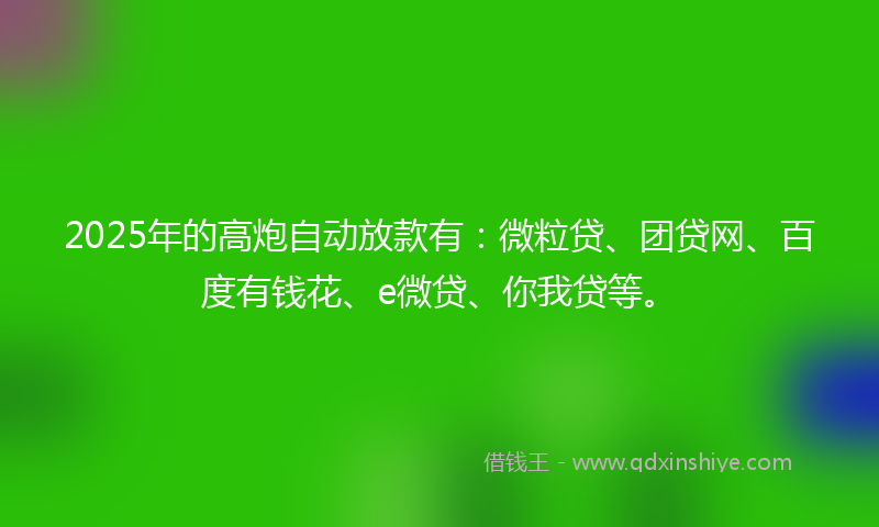 2025年的高炮自动放款有：微粒贷、团贷网、百度有钱花、e微贷、你我贷等。