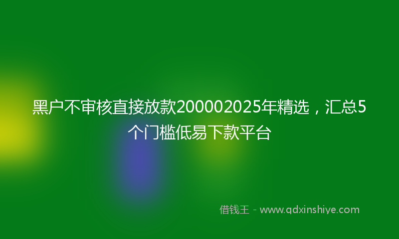 黑户不审核直接放款200002025年精选，汇总5个门槛低易下款平台