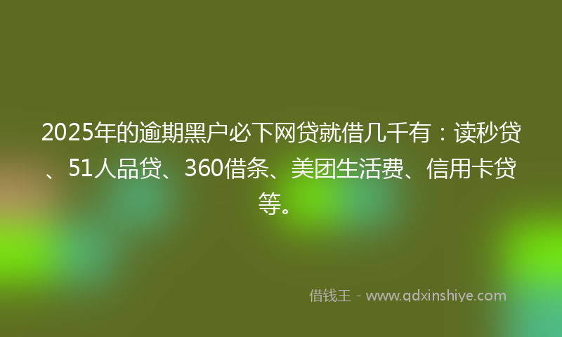 2025年的逾期黑户必下网贷就借几千有：读秒贷、51人品贷、360借条、美团生活费、信用卡贷等。