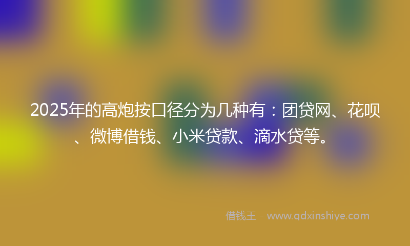 2025年的高炮按口径分为几种有：团贷网、花呗、微博借钱、小米贷款、滴水贷等。