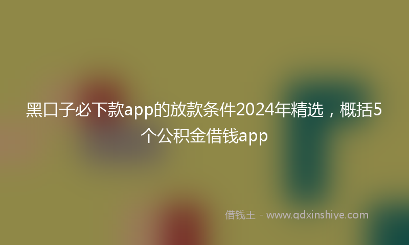 黑口子必下款app的放款条件2024年精选，概括5个公积金借钱app