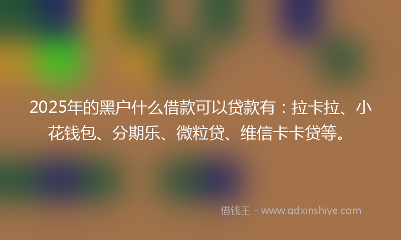 2025年的黑户什么借款可以贷款有：拉卡拉、小花钱包、分期乐、微粒贷、维信卡卡贷等。