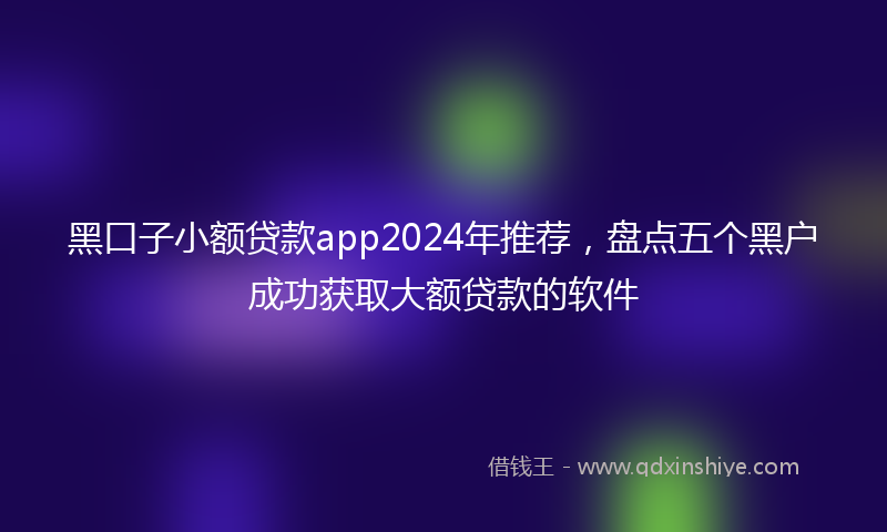 黑口子小额贷款app2024年推荐，盘点五个黑户成功获取大额贷款的软件