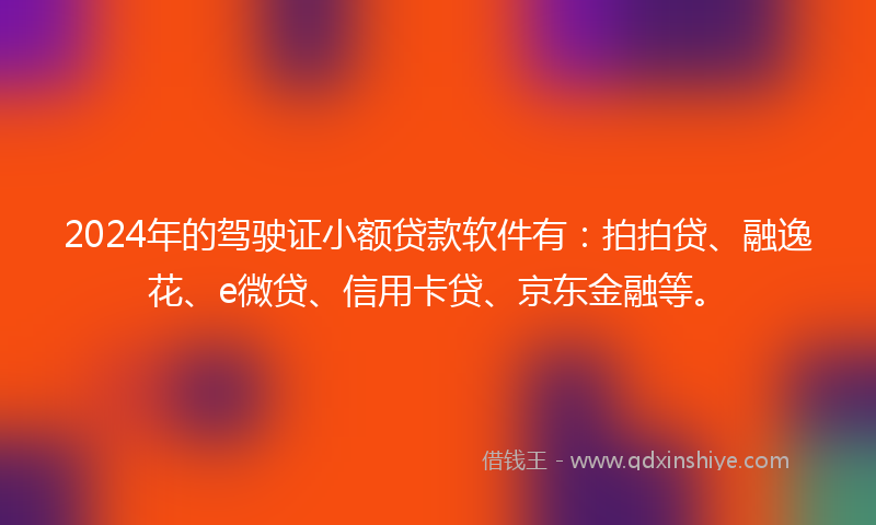 2024年的驾驶证小额贷款软件有：拍拍贷、融逸花、e微贷、信用卡贷、京东金融等。