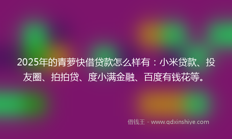 2025年的青萝快借贷款怎么样有：小米贷款、投友圈、拍拍贷、度小满金融、百度有钱花等。