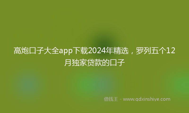 高炮口子大全app下载2024年精选，罗列五个12月独家贷款的口子
