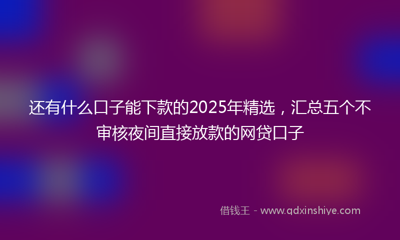 还有什么口子能下款的2025年精选，汇总五个不审核夜间直接放款的网贷口子