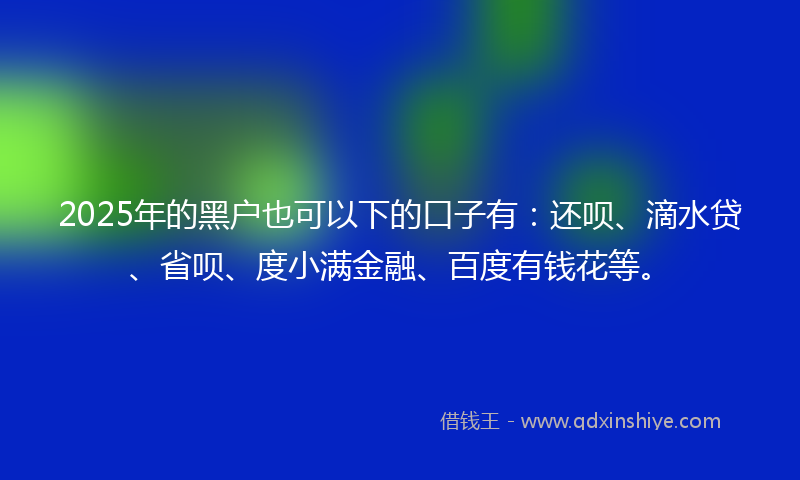 2025年的黑户也可以下的口子有：还呗、滴水贷、省呗、度小满金融、百度有钱花等。