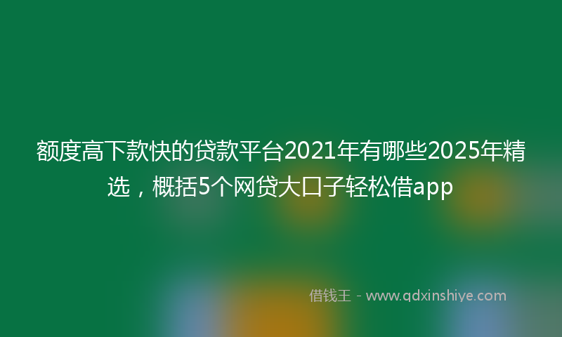 额度高下款快的贷款平台2021年有哪些2025年精选，概括5个网贷大口子轻松借app