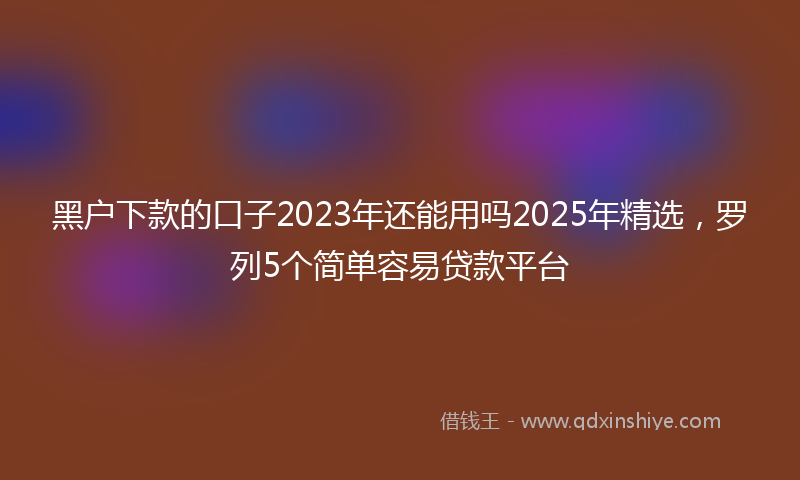 黑户下款的口子2023年还能用吗2025年精选，罗列5个简单容易贷款平台