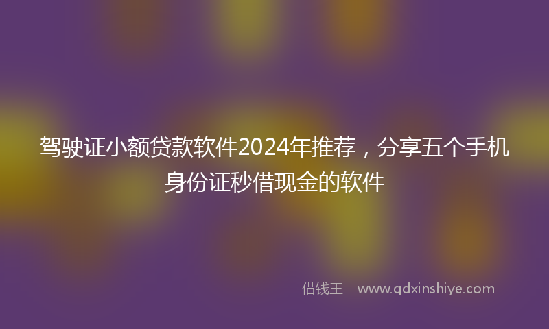 驾驶证小额贷款软件2024年推荐，分享五个手机身份证秒借现金的软件
