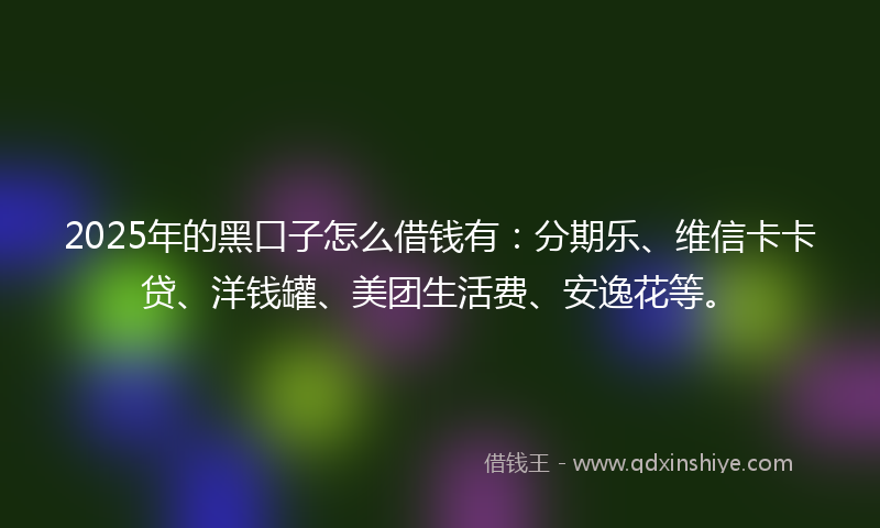 2025年的黑口子怎么借钱有：分期乐、维信卡卡贷、洋钱罐、美团生活费、安逸花等。