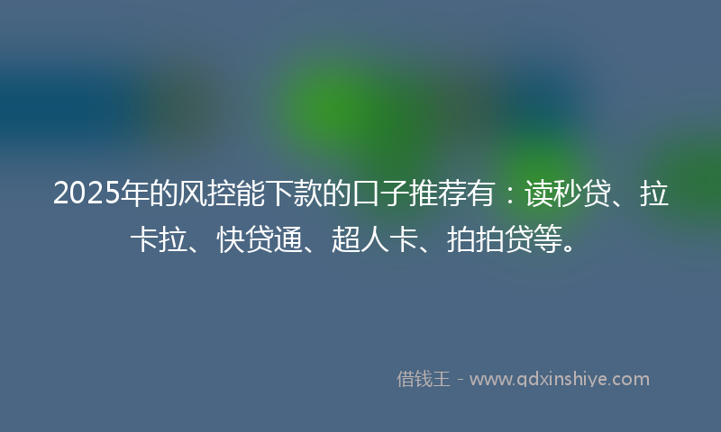 2025年的风控能下款的口子推荐有：读秒贷、拉卡拉、快贷通、超人卡、拍拍贷等。