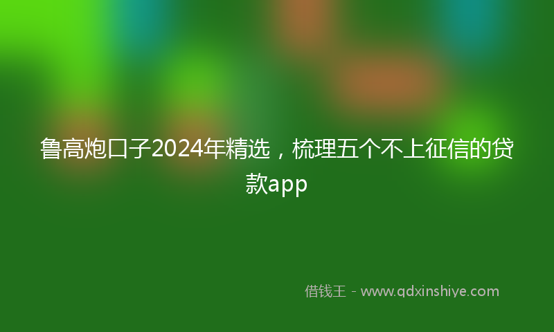 鲁高炮口子2024年精选，梳理五个不上征信的贷款app