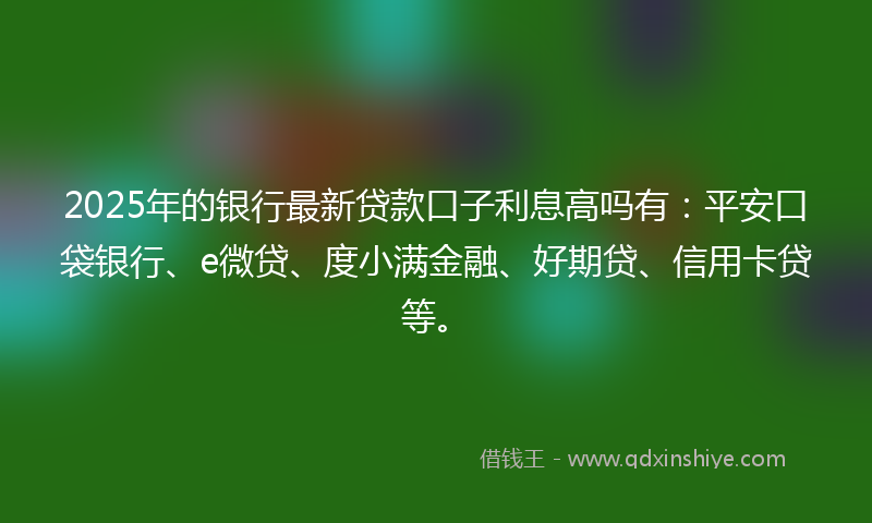 2025年的银行最新贷款口子利息高吗有：平安口袋银行、e微贷、度小满金融、好期贷、信用卡贷等。