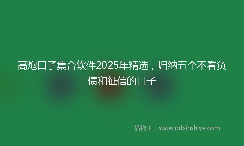 高炮口子集合软件2025年精选，归纳五个不看负债和征信的口子