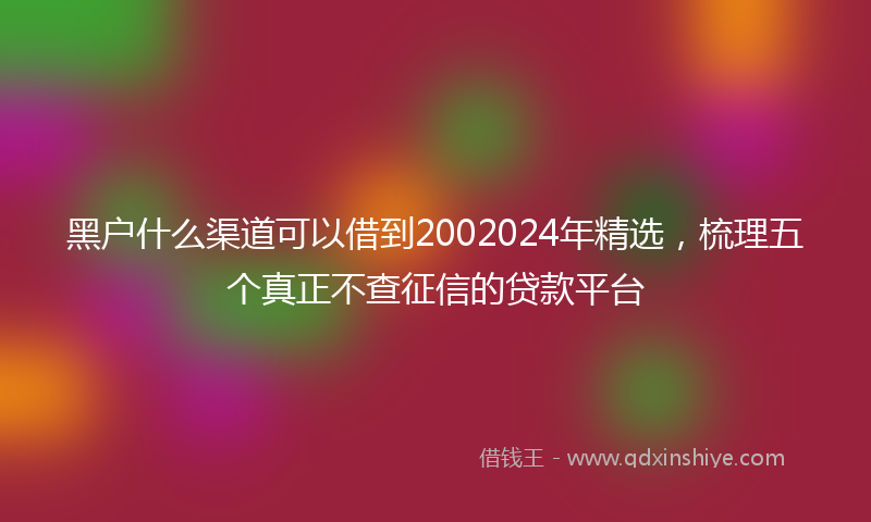 黑户什么渠道可以借到2002024年精选，梳理五个真正不查征信的贷款平台