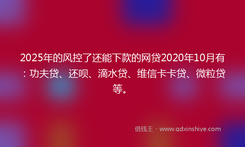 2025年的风控了还能下款的网贷2020年10月有：功夫贷、还呗、滴水贷、维信卡卡贷、微粒贷等。