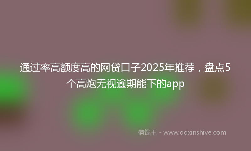 通过率高额度高的网贷口子2025年推荐，盘点5个高炮无视逾期能下的app