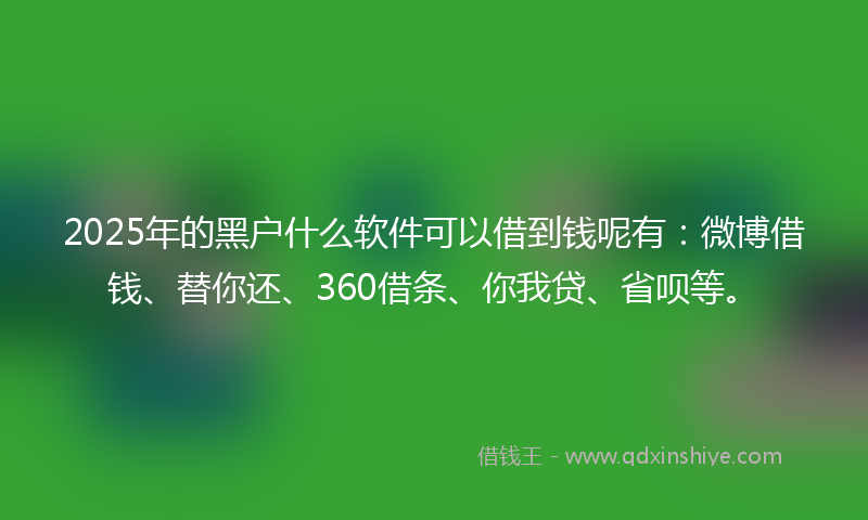 2025年的黑户什么软件可以借到钱呢有：微博借钱、替你还、360借条、你我贷、省呗等。