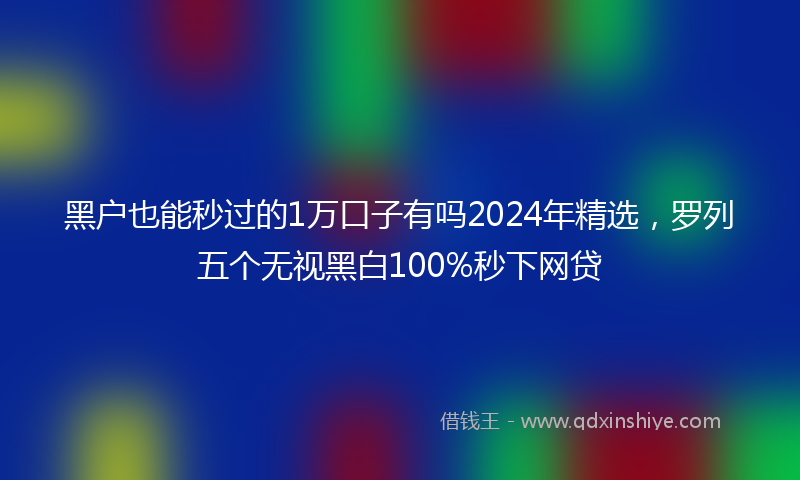 黑户也能秒过的1万口子有吗2024年精选，罗列五个无视黑白100%秒下网贷