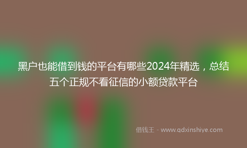 黑户也能借到钱的平台有哪些2024年精选，总结五个正规不看征信的小额贷款平台