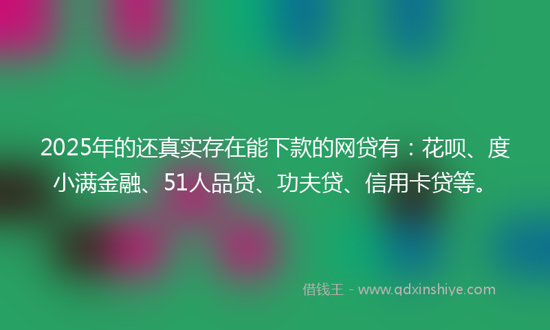 2025年的还真实存在能下款的网贷有：花呗、度小满金融、51人品贷、功夫贷、信用卡贷等。