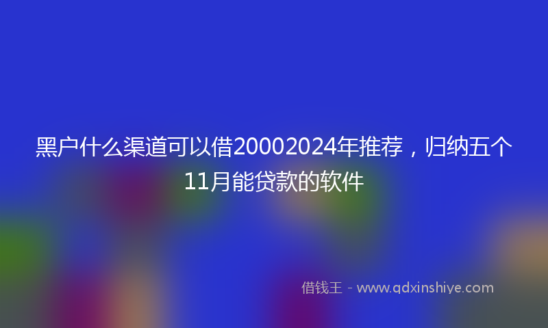 黑户什么渠道可以借20002024年推荐，归纳五个11月能贷款的软件