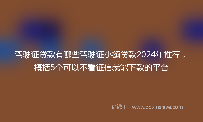 驾驶证贷款有哪些驾驶证小额贷款2024年推荐，概括5个可以不看征信就能下款的平台