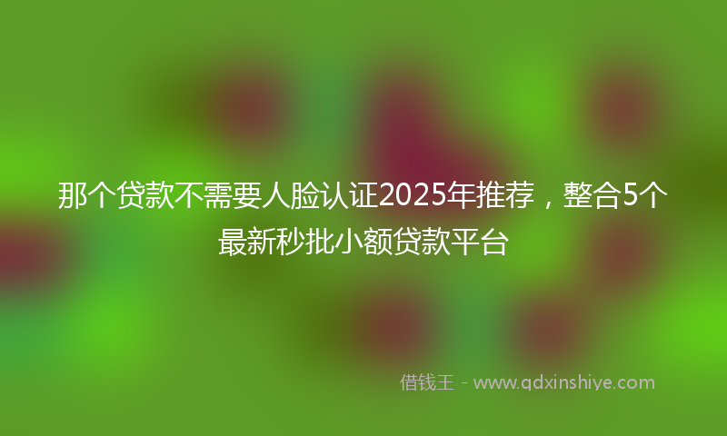 那个贷款不需要人脸认证2025年推荐，整合5个最新秒批小额贷款平台