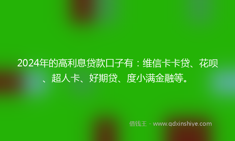 2024年的高利息贷款口子有：维信卡卡贷、花呗、超人卡、好期贷、度小满金融等。