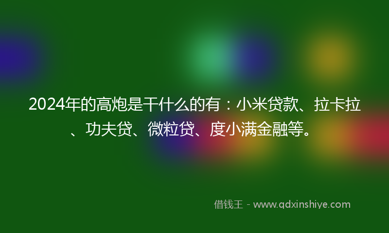 2024年的高炮是干什么的有：小米贷款、拉卡拉、功夫贷、微粒贷、度小满金融等。