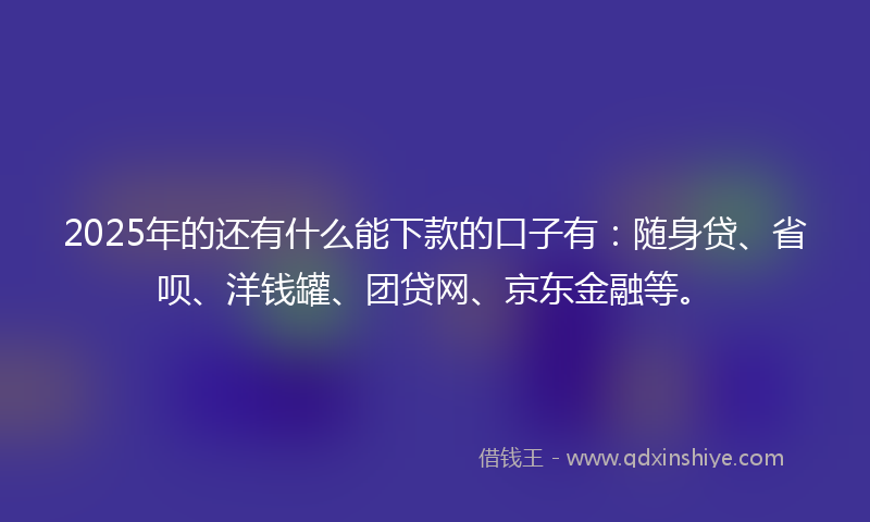 2025年的还有什么能下款的口子有：随身贷、省呗、洋钱罐、团贷网、京东金融等。