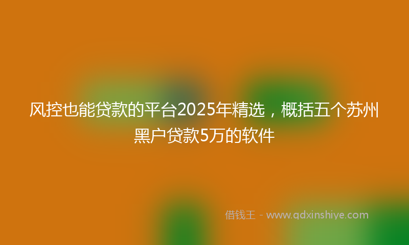 风控也能贷款的平台2025年精选，概括五个苏州黑户贷款5万的软件
