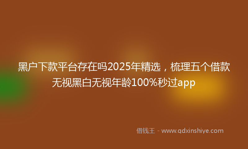 黑户下款平台存在吗2025年精选，梳理五个借款无视黑白无视年龄100%秒过app