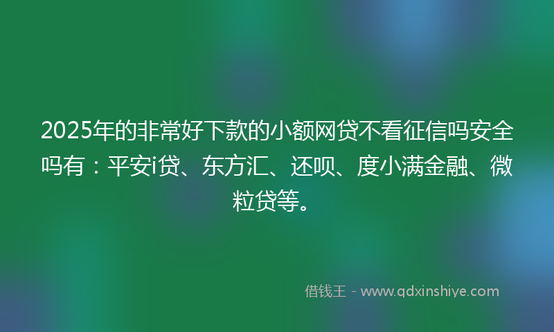 2025年的非常好下款的小额网贷不看征信吗安全吗有：平安i贷、东方汇、还呗、度小满金融、微粒贷等。