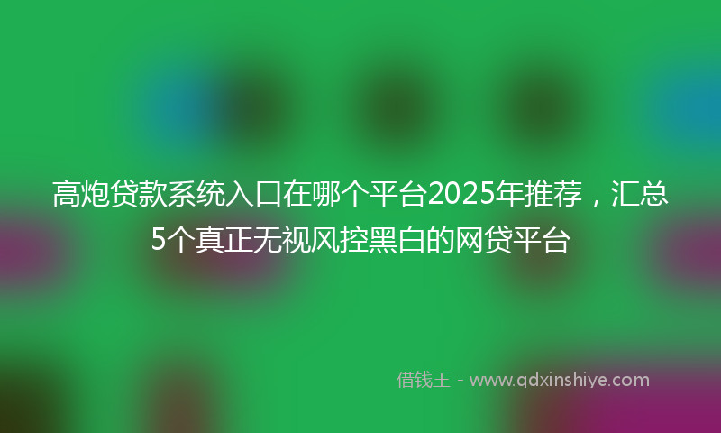 高炮贷款系统入口在哪个平台2025年推荐，汇总5个真正无视风控黑白的网贷平台