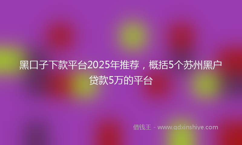 黑口子下款平台2025年推荐，概括5个苏州黑户贷款5万的平台